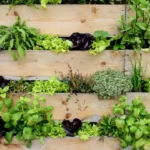 Come creare un orto verticale? La guida completa per piccoli spazi
