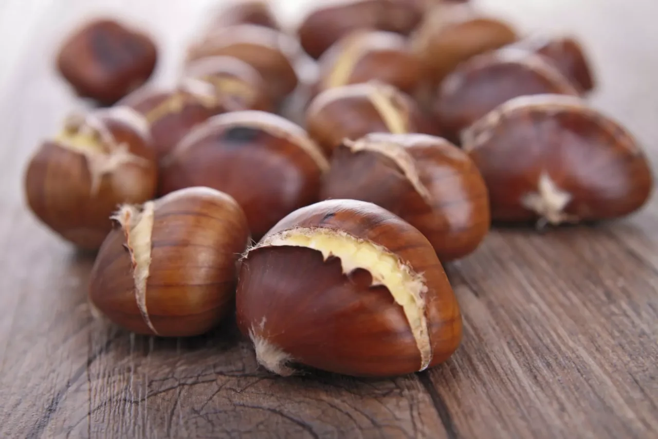 Come cuocere le castagne in padella senza bruciarle? Il metodo corretto