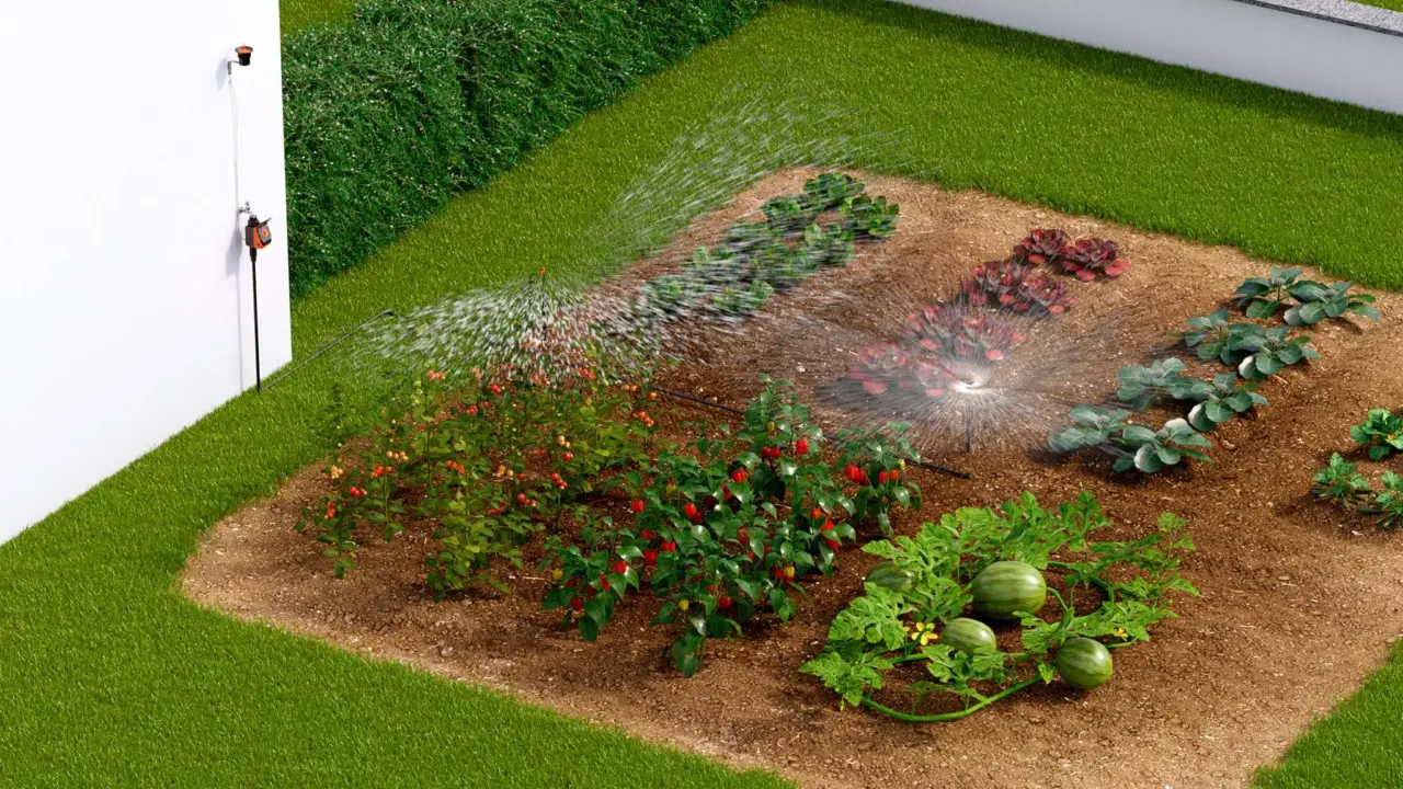 Qual è il miglior sistema di irrigazione per orti piccoli? Le opzioni da valutare