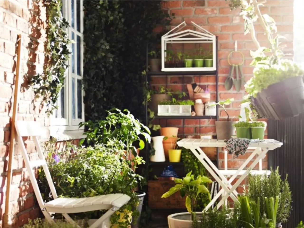 Come si costruisce una serra da balcone? Il progetto semplice ed economico